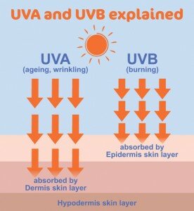 Skin and Sun Exposure