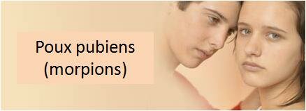 poux pubiens