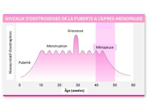 Les OESTROGÈNES dans la SANTÉ des FEMMES