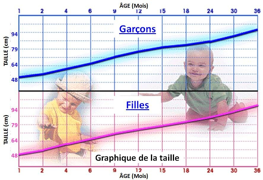 TAILLE et POIDS en GRAPHIQUES
