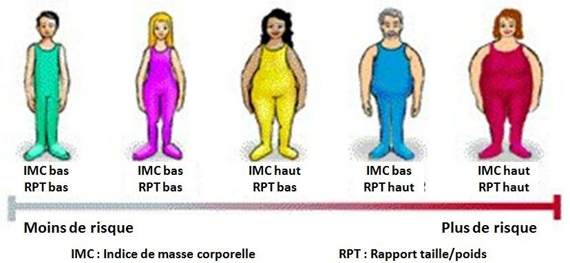TAILLE et POIDS en GRAPHIQUES