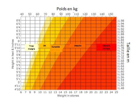 TAILLE et POIDS en GRAPHIQUES