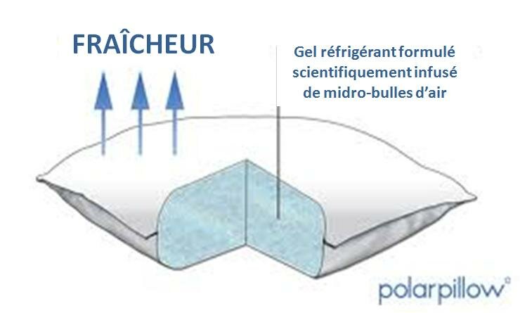 OREILLERS contre les SUÉES NOCTURNES