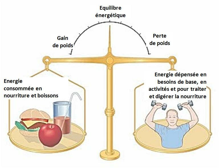 OBÉSITÉ 