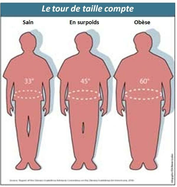 RAPPORT TAILLE/HANCHES