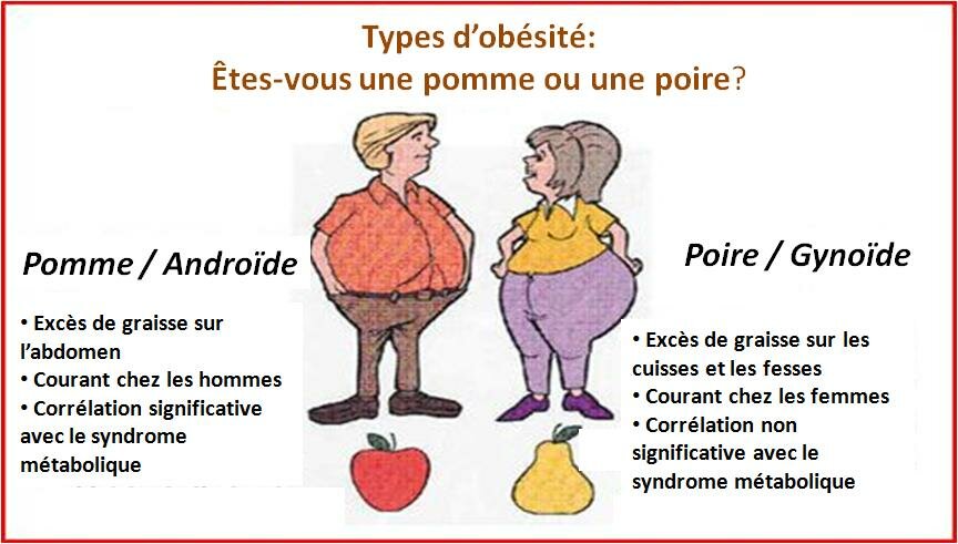 RAPPORT TAILLE/HANCHES