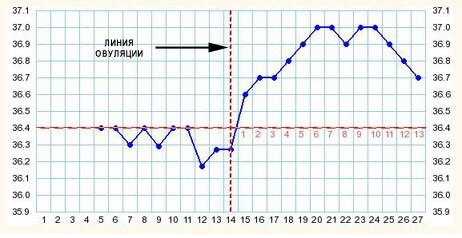 Фертильность