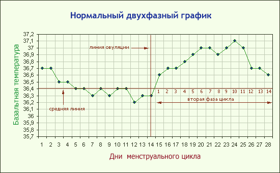базальная температура