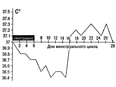 базальная температура