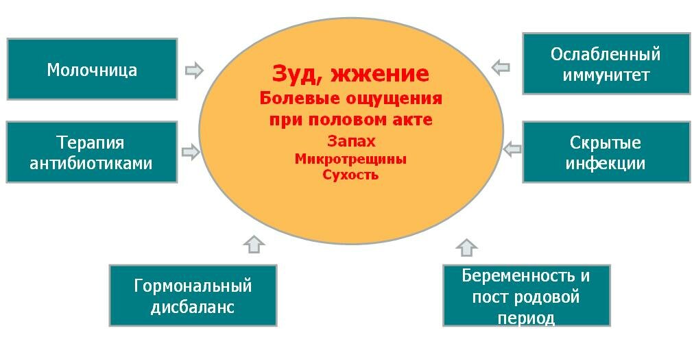 Запах влагаища