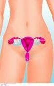 irreglar periods