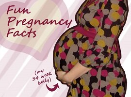 Fun Pregnancy Facts