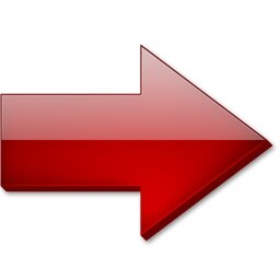 Menstrual Cycle and Fertility