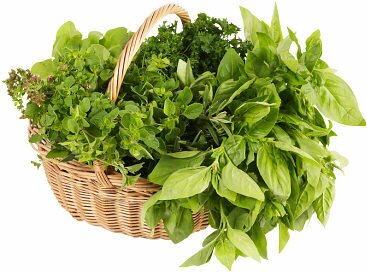 PREGNANCY and NATURAL REMEDIES