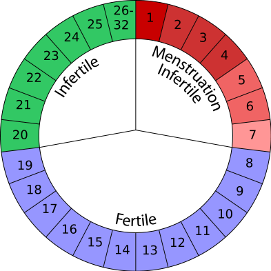 rhythm method